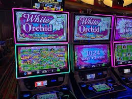 lucky99a Mode Multiplikator